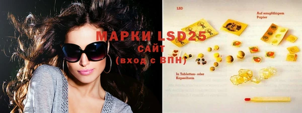 индика Балахна