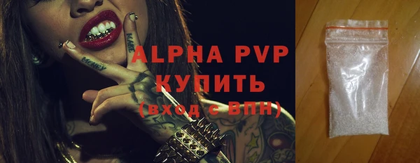 индика Балахна