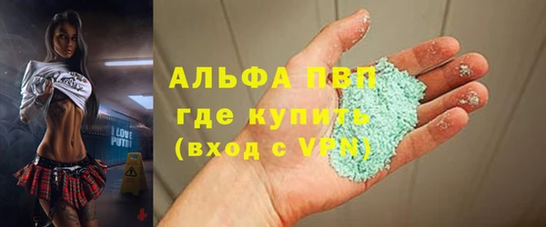 сатива Баксан