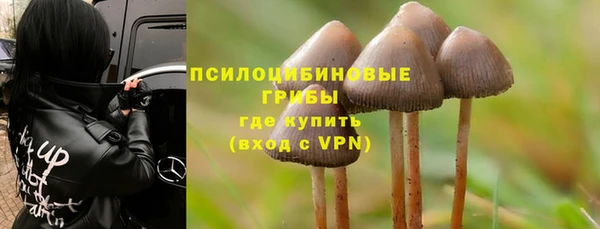сатива Баксан