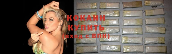 сатива Баксан