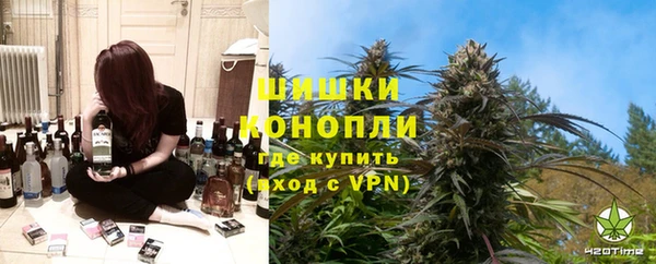 индика Балахна