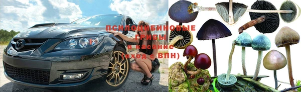 индика Балахна