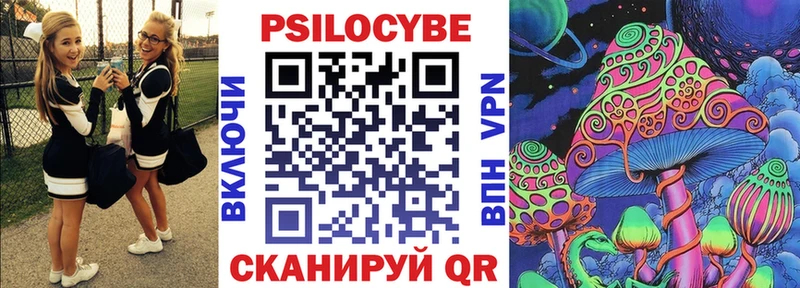 дарнет шоп  Севск  omg ССЫЛКА  Псилоцибиновые грибы ЛСД 